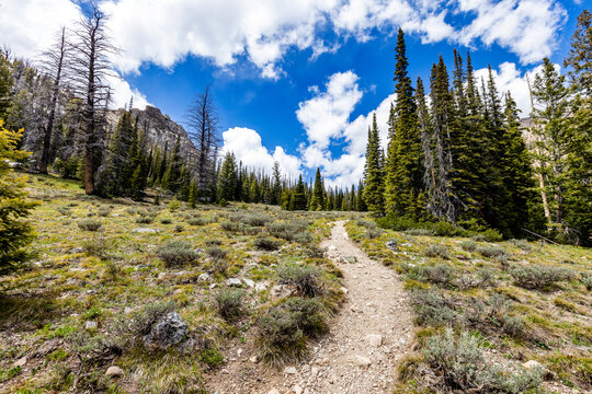 Empty hiking trail in Sun Valley