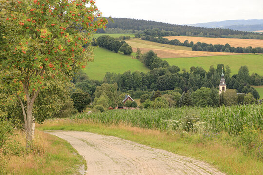 Sommer im Erzgebirge; Radweg oberhalb von Cranzahl