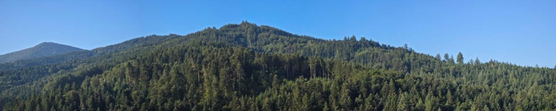 germany, spectacular xxl panoramic aerial view across black forest conifer treetops reaching rohrhardsberg summit beneath flawless blue summer sky