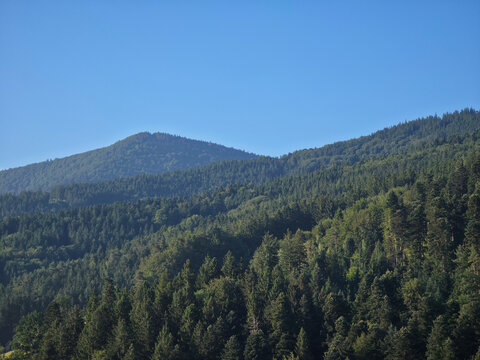 germany, breathtaking aerial view above black forest conifer treetops toward rohrhardsberg summit under perfect deep blue summer sky in untouched nature landscape