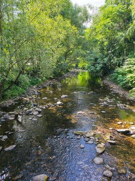germany, crystal clear wilde gutach river flowing beside peaceful simonswald village through breathtaking simonswaelder valley surrounded by lush black forest
