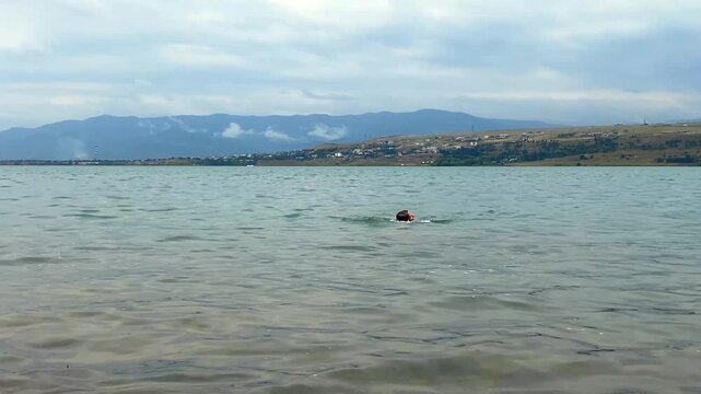 Woman swimming in Tbilisi Sea crosses open reservoir water beside the Georgian capital, representing independent recreation, aquatic confidence, local wellness tourism and active outdoor leisure