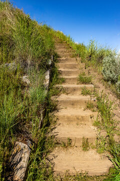 Wooden steps in Military Reserve woodland area