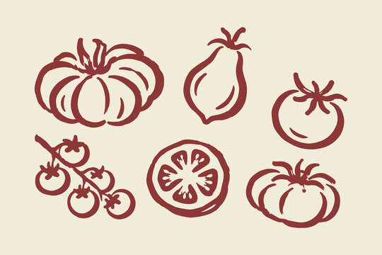 Tomato Set Hand Drawn Doodle Vector Illustration