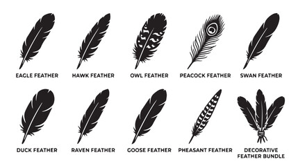 Black bird feather silhouettes collection, set of 10 decorative feather icons, eagle hawk owl and peacock feather vector bundle for graphic design isolated on White Background © Ali