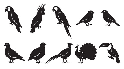 Black bird silhouettes collection, set of 10 tropical and domestic bird icons, exotic parrot and peacock vector shapes for logo design isolated on White Background © Ali
