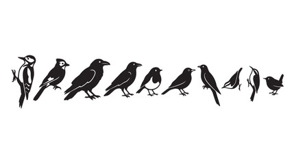 Obraz premium Minimalist black bird silhouettes collection, set of 10 garden bird vector icons, hand drawn wild bird species illustrations for nature branding isolated on White Background