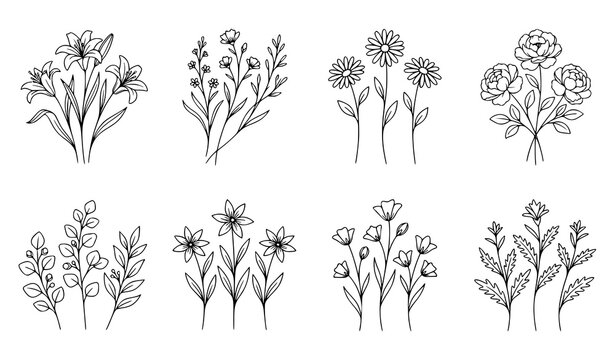 Minimal Black and White Three Flower Stem Line Drawing Vector Set