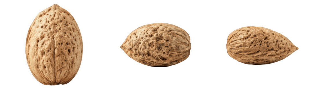 Set of whole almonds in shells isolated on transparent background, organic raw nutshell graphics and natural nut elements, brown almond shell vector illustration design collection