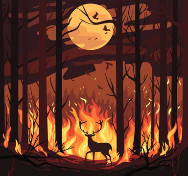 forest fire, burning trees, fire. illustration showing the danger of fires 