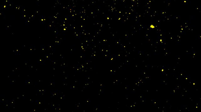 Abstract glowing golden dust falling gently on a solid dark background. Radiant hot fire embers flying upwards into black space. Magical yellow fireflies drifting brightly through summer night bokeh