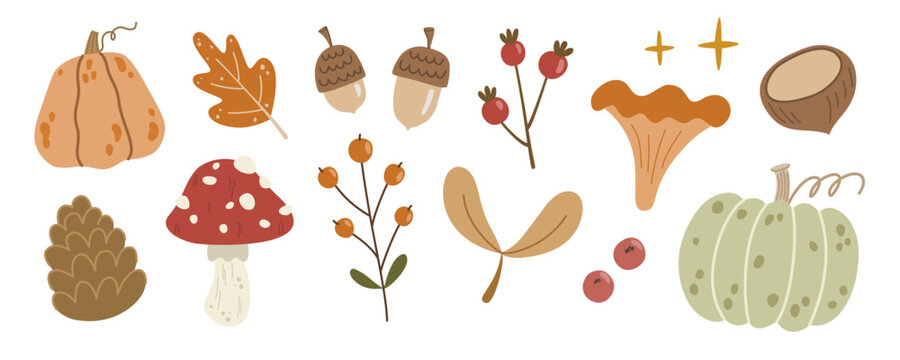 Autumn elements set vector featuring pumpkins, oak leaf, acorns, berries, chanterelle mushroom, chestnut, pinecone, fly agaric, and maple seeds design. Naive hand-drawn doodle clipart