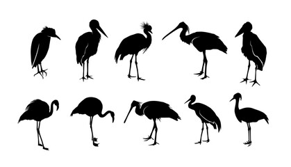 Obraz premium African birds silhouette. Crane, stork, marabu, ibis and heron. Vector isolated decoration elements.