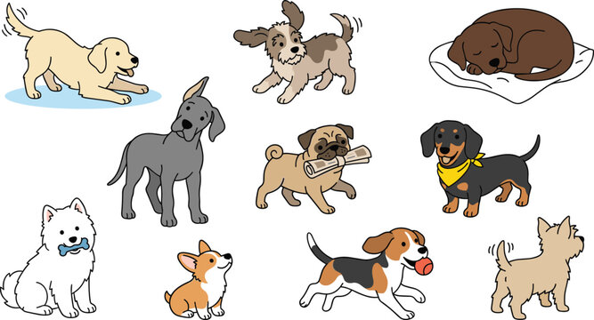 Cute dog breeds collection featuring playful puppies, Golden Retriever, Great Dane, Pug, Dachshund, Beagle, Corgi, and companion pet vector illustration set