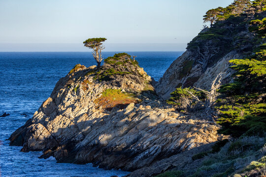 Rocky coast at Point Lobos State Natural Reserve