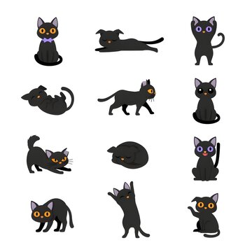 Midnight Whiskers Parade