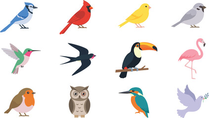 Fototapeta premium Colorful Bird Character Collection Vector Illustration Featuring Various Wild Birds for Nature, Wildlife, Education, and Decorative Designs