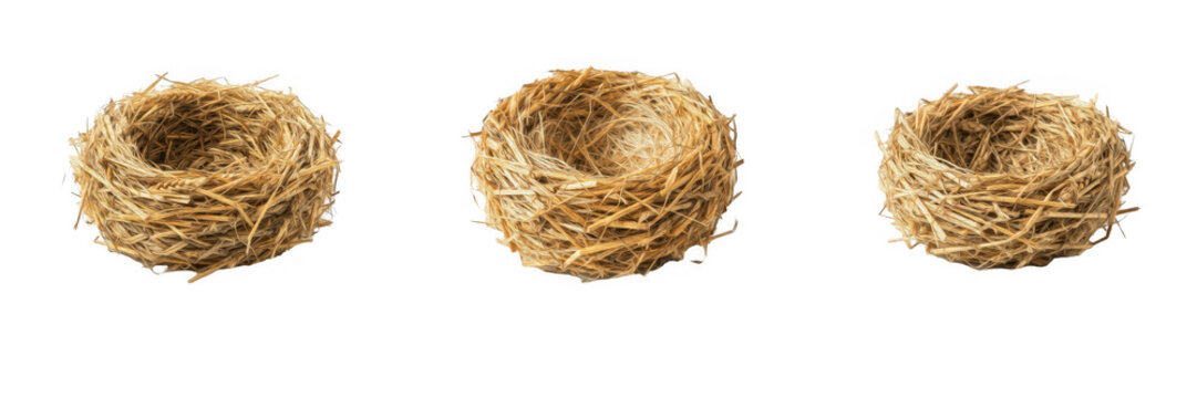 Empty bird nests made of dry twigs and straw isolated on white background wildlife photography elements