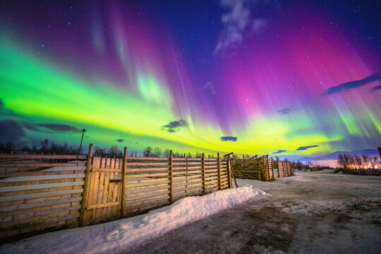 Aurora Borealis above Fences in a reindeer Sami camp