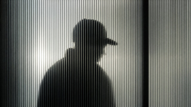 Silhouette Of A Man With Baseball Cap