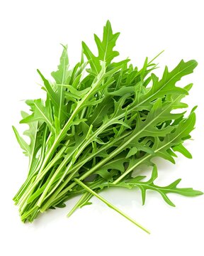 arugula bunch leafy greens isolated on white background