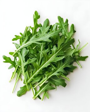arugula leaves fresh salad greens isolated on white background