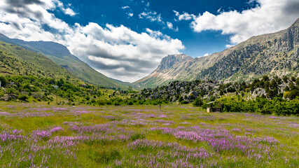 Obraz premium Lake Eğri which is 130 km from Alanya and 40 km from Gündoğmuş, is located at an altitude of 2100 meters on the eastern slope of Geyik Mountain at the Taurus Mountains.. If you are going from Seydişeh