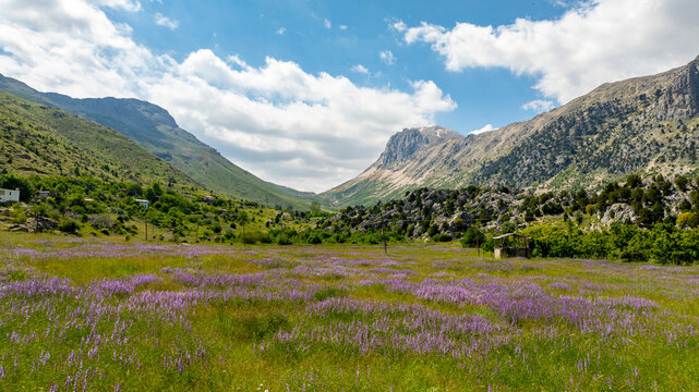 Lake Eğri which is 130 km from Alanya and 40 km from G&uuml;ndoğmuş, is located at an altitude of 2100 meters on the eastern slope of Geyik Mountain at the Taurus Mountains.. If you are going from Seydişeh