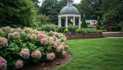 Obraz premium Blooming pink hydrangea flowers in a garden. Scenic park landscape with a white gazebo.