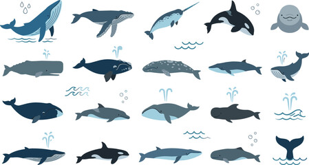 Whale vector icon set with humpback orca narwhal sperm beluga bowhead blue whale species water spouts bubbles and waves isolated flat illustration © MstRowshanAra