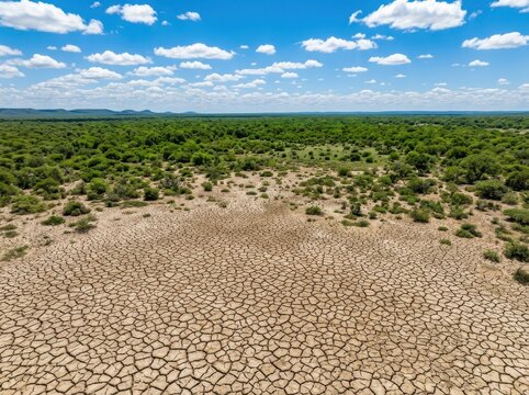 Aerial view of dry cracked earth in arid landscape with greenery , El Ni&ntilde;o