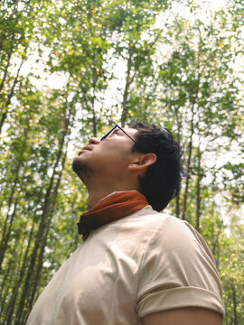 Young Asian Man with Glasses Looking Up at the Bright Green Forest Canopy