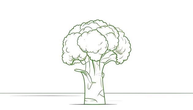 Minimalist line drawing of human brain silhouette.
