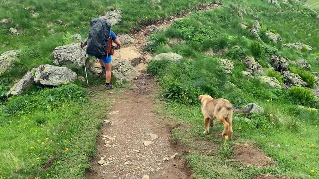 A man and trail dog follow a narrow alpine path above Blue Abudelauri Lake, presenting companionship, remote exploration, active tourism and responsible outdoor adventure in Georgia.