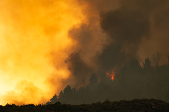 Wildfire consuming a forest, sending dark smoke plumes and glowing orange haze across the landscape, illustrating environmental destruction