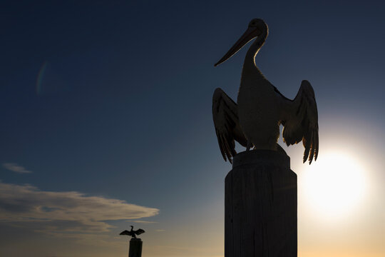 Silhouette of Australian pelican on top of pier