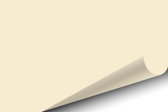 Blank cream paper page with curled peel corner and shadow vector template