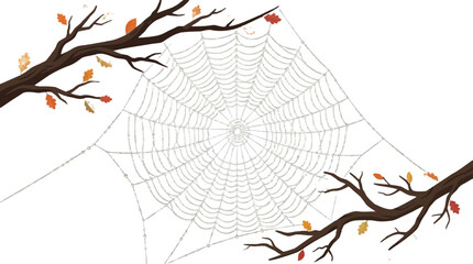 Obraz premium 2d FLAT MINIMALISM Minimalist autumn spiderweb with dew drops on bare branches and colorful leaves PNG Isolated on transparent background vector