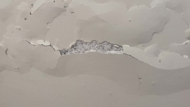 Peeling Wall Paint with Damp Mold Damage and Cracked Plaster Texture