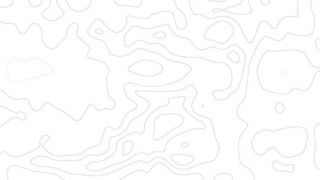 outline topographic contour map white background. Curved lines mimic topographic terrain 4K animated.