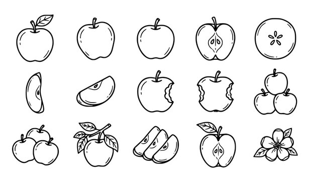 Hand Drawn Apple Collection Doodle Fruit Set with Whole and Sliced Apples Vector Illustration