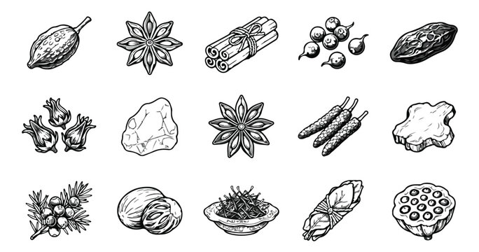 Vintage hand drawn spices and herbs collection, 15 black and white vector icons of cinnamon, star anise, and cardamom, culinary seasoning sketches