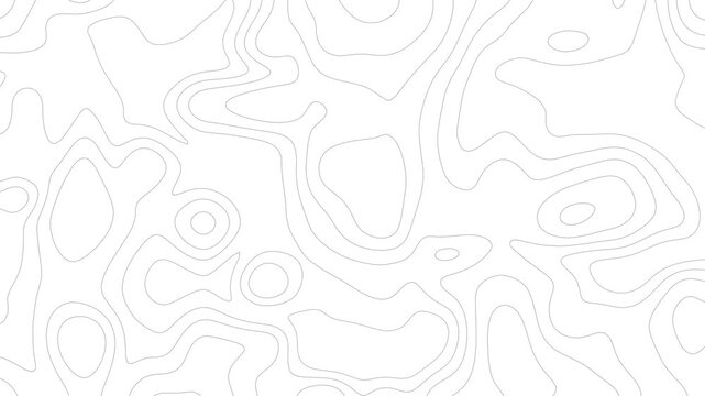 Animated white topographic contour map, Smooth wave motion and moving terrain lines. Seamless 4K loop of abstract topographic contour map