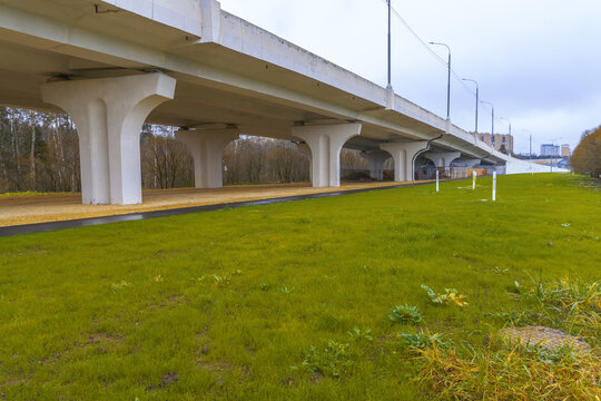 Native grass zone adjacent to roadway. Ecofriendly landscape corridor near transportation pathways