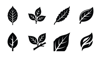 Collection of various leaf shapes and designs on white background © MohammadAkib