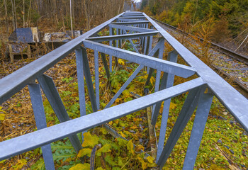 Fototapeta premium Structural steel with natural surroundings. Metal lattice structures contrast with wooded environment