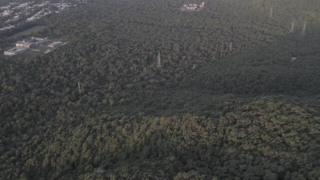 Faisal Mosque Reveal