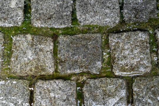 Wet granite cobblestone texture background covered with flowing water and green algae