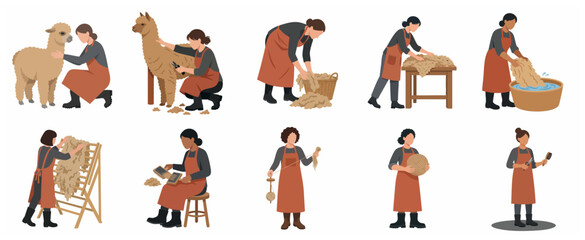 Set of flat illustrations showing the alpaca wool production process from shearing to yarn spinning © Chrristie