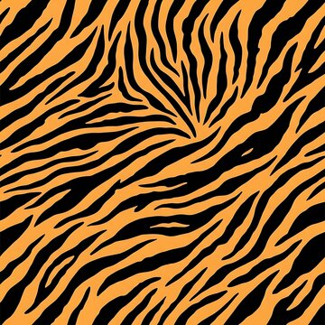 Close-up of zebra skin pattern texture background.